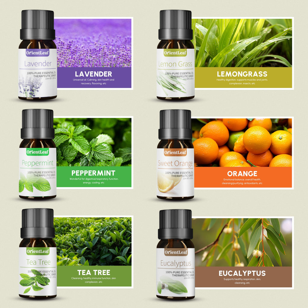 Essential Oils for Diffusers, 100% Natural Plant Extracts Six Scents