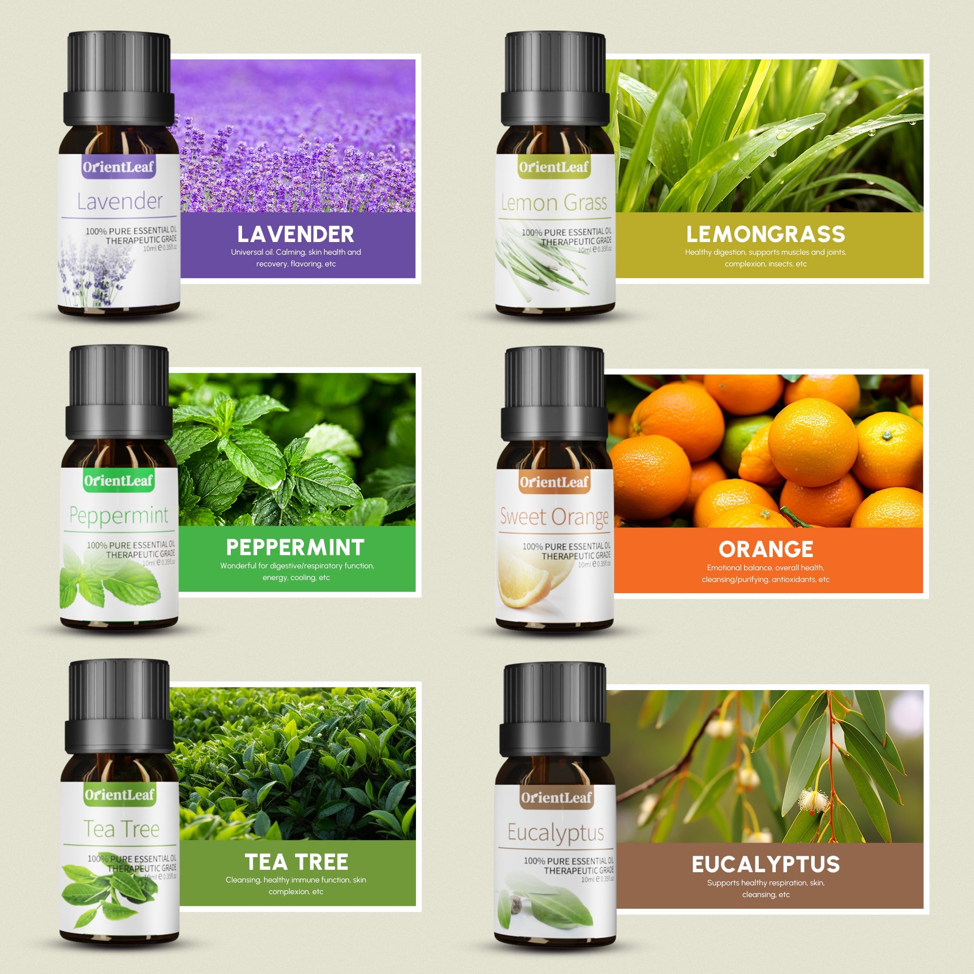Essential Oils for Diffusers, 100% Natural Plant Extracts Six Scents